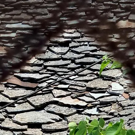 Celo's House * Gjirokastër
