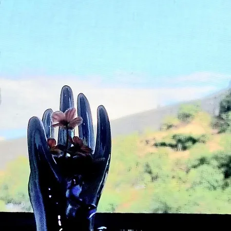 Celo's House Gjirokastër