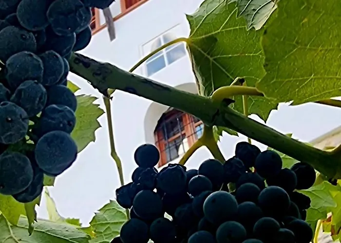 çelo's House * Gjirokastër