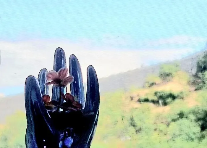 Celo's House Gjirokastër